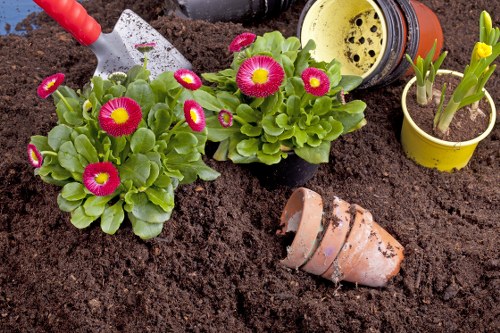 Soft landscaping planting and garden preparation in Camden