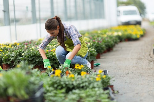 Landscaping work in Camden with garden design and greenery