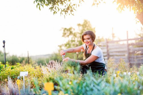 Seasonal planting and soft landscaping details for Camden homes