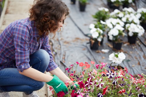 Accessible landscaping Camden information for all users