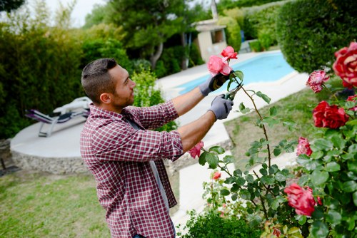 Residential garden soft landscaping in a Camden property