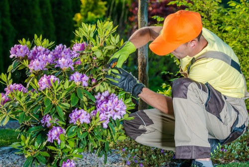 Annual review of modern slavery controls in Camden landscaping