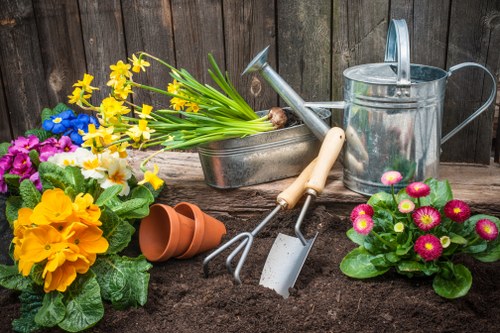 Garden makeover ideas for Camden homes and courtyards