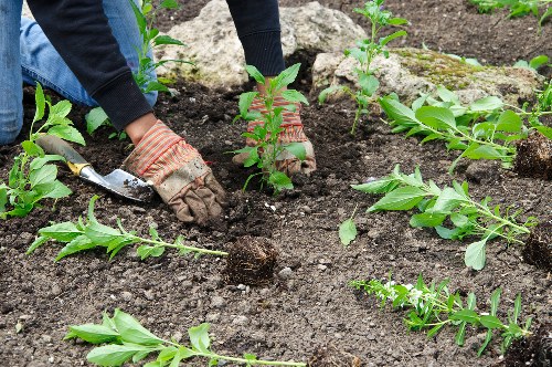 Installing a garden drainage system in a Camden outdoor space