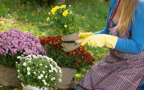 Hard landscaping and planting included in a Camden garden makeover