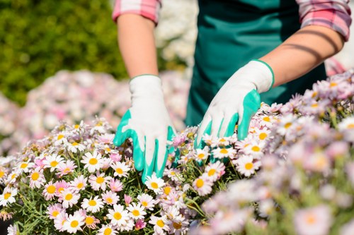 Keyboard navigation support for Camden landscaping pages