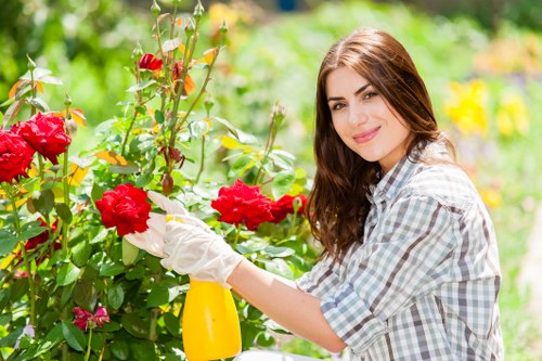 Professional Camden landscaping with planting and outdoor structure