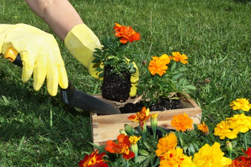 Materials and finishes suitable for a Camden garden build