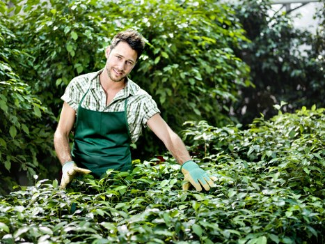 Updated Cookie Policy notice for Landscaping Camden website visitors