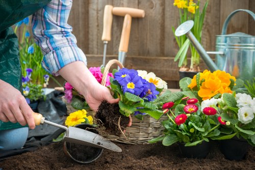 Camden garden landscaping with paths, plants, and hardscape